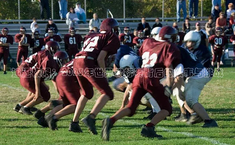 非凡体育2121app官网版