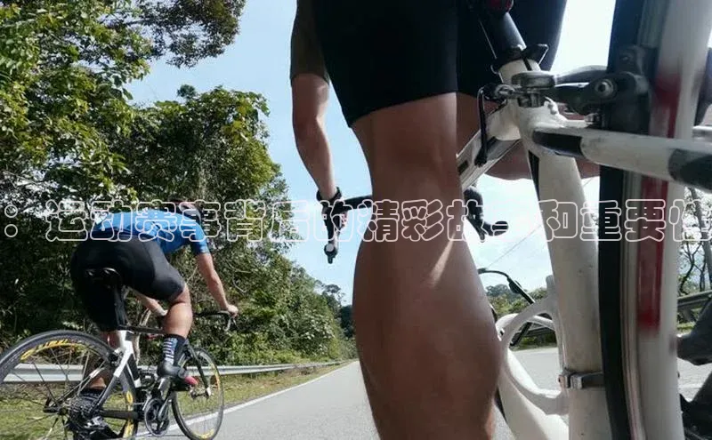 非凡体育2121app官网版